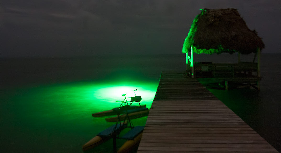 Predator Fishing Lights  Green and White Waterproof LED Lights For Fishing  , Boating, and Kayak
